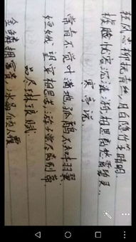 关于友情诗句及解释