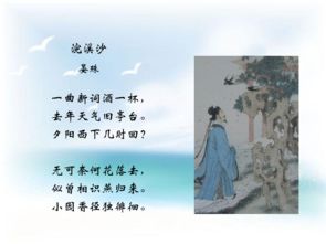上册,诗句,八级,语文