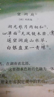 想不通的古诗句