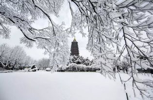 江南的雪的诗句古诗词