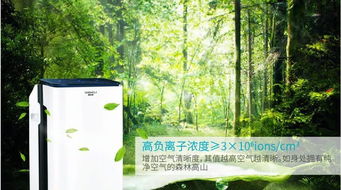 古诗中关于洁净空气的诗句