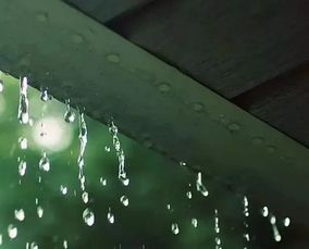 关于雨水的和诗句