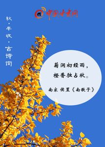古诗,诗句,丰收,秋天