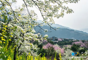 关于发春的诗句