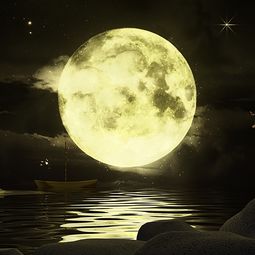 两个关于月亮的诗句