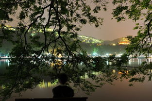 西湖,诗句,风景