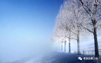 关于冬天小雪时节的诗句