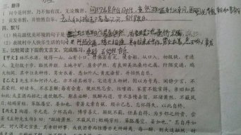 关于写生活中的情景的诗句