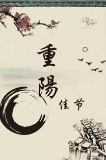 禅意,重阳节,诗句
