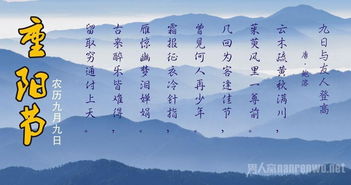 重阳节,古诗,句子