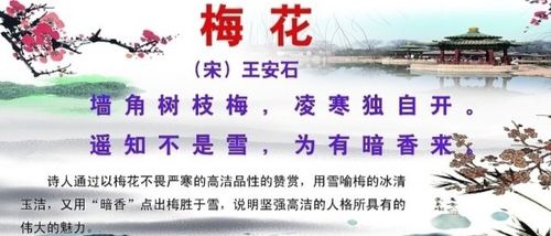 夏天描写花的诗句古诗大全