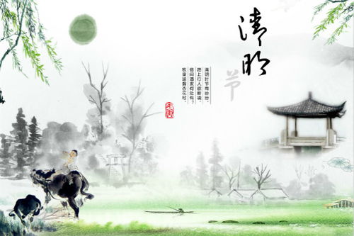 关于清明雨的诗句散文