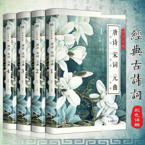 精妙,用词,古诗,诗句