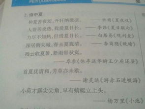 夏天的诗句古诗大全要整首