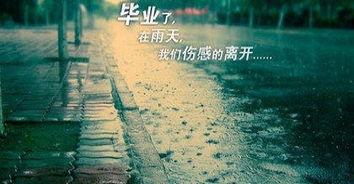 诗句,唯美,离别
