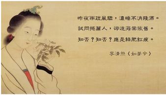 关于红颜为谁醉的诗句