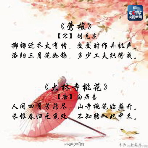古诗,句子,于月