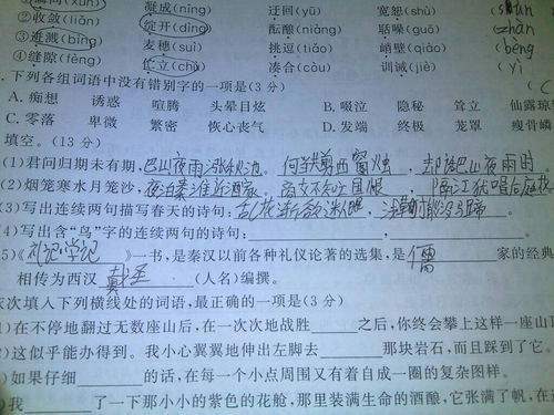 连续两句含有家的古诗句
