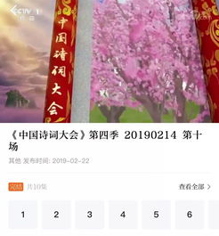 关于爱奇艺诗句