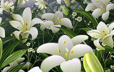 关于描写百合花的诗句三级