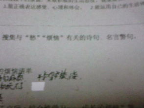 关于烦恼的诗句或词