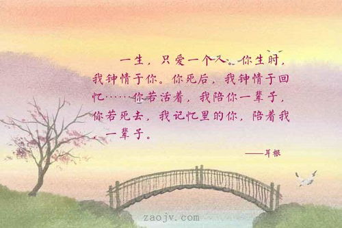 关于陪伴一生的诗句