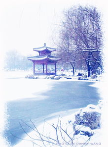 关于雪景画的诗句