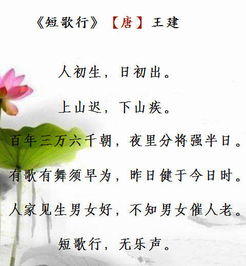 感恩孩子来到我身边的诗句,感恩孩子的陪伴经典诗句,感恩妻子生孩子的诗句