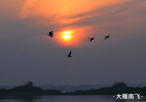 关于大名八景的诗句
