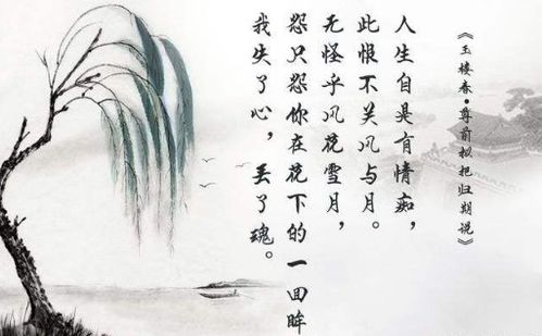 松涛,诗句,形容