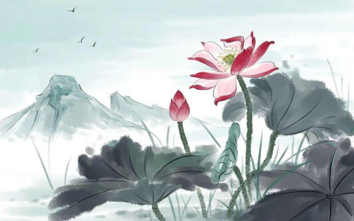 关于蝶恋花诗句