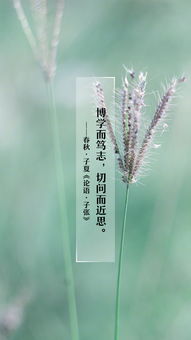 描绘新征程的古诗句
