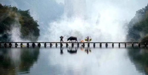 关于养老方面的诗句