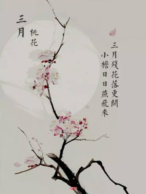 写春花的古诗句