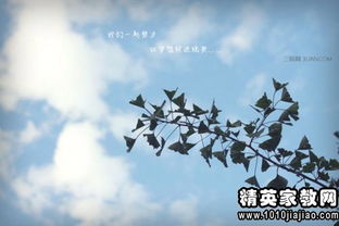 理想信念的诗句古诗