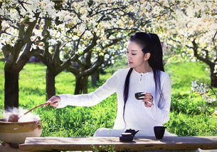 关于普洱茶的古诗句,形容普洱茶的美句,形容时光飞逝的古诗句