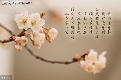 诗句,讲究,方法