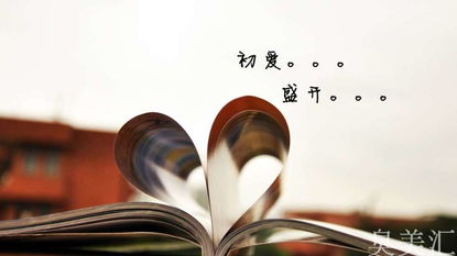 含古诗句的小学毕业赠言
