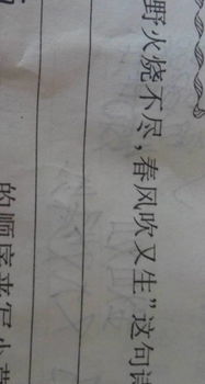 绝处逢生意思相近的古诗句