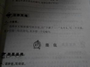 运用比喻和古诗句的段落