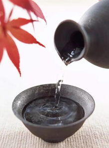 关于酒的诗句较为奔放