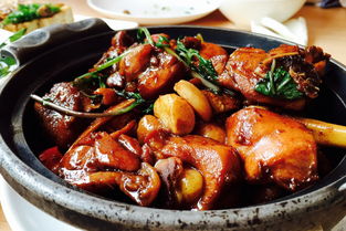 关于美食鸡肉的诗句