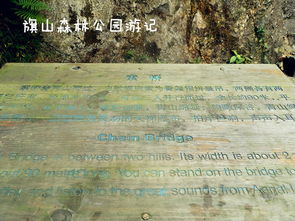 福州,诗句,旗山古