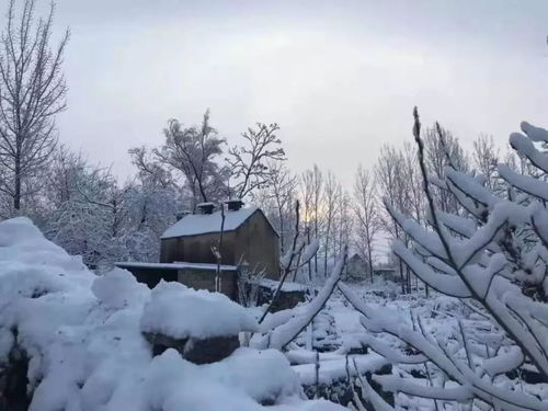 赞美大雪的诗句古诗,赞美青山绿水的古诗句,赞美父亲的古诗句