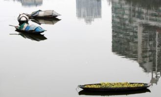 安仁,古诗,诗句,解释