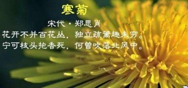 关于爱惜花草的诗句