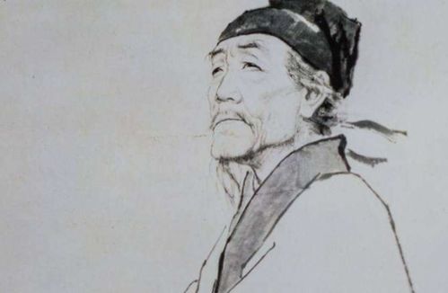 杜甫写鸟的诗句,杜甫带鸟的诗句,杜甫描写春鸟的诗句