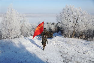 关于边疆风雪的诗句