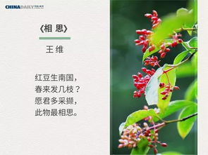 春日古诗中蕴含哲理的诗句