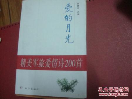 诗句,爱情,于月